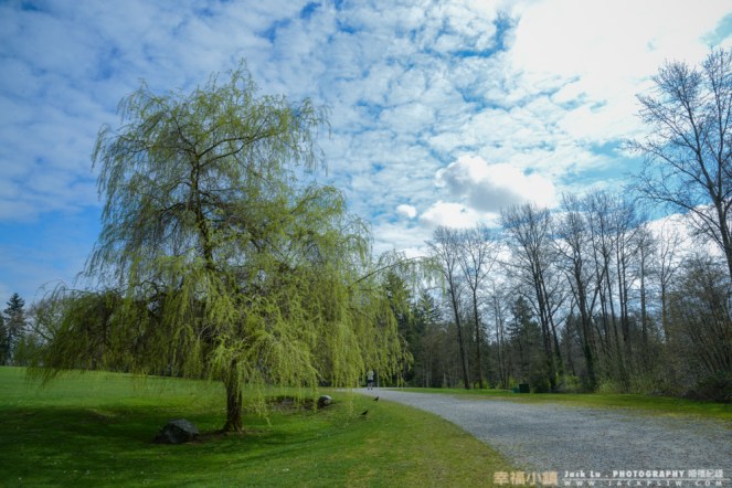 vancouver-winter-landscape-taiwan-13