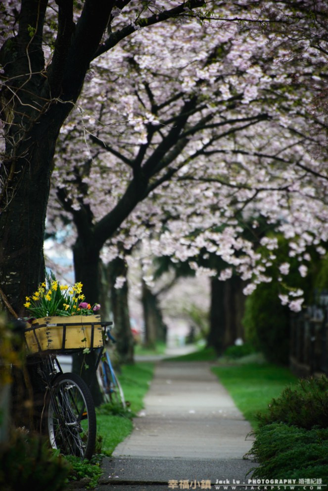 vancouver-winter-landscape-taiwan-16