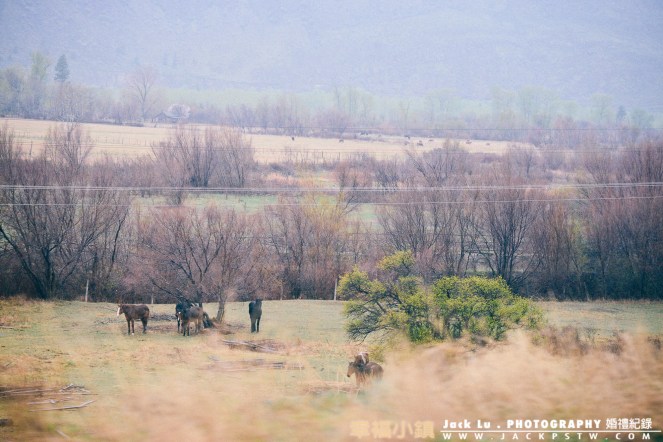 Bc-kalowna-photo-winery-52