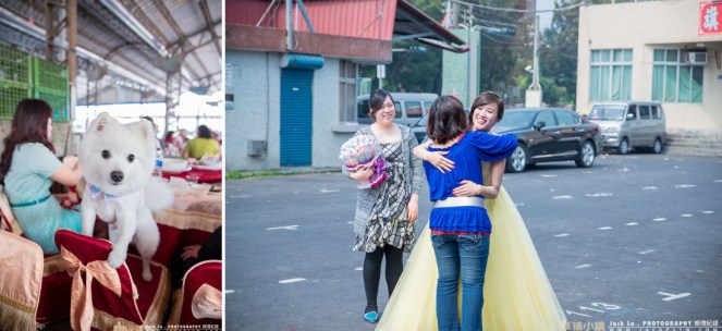 當天宴會中的小狗超可愛的