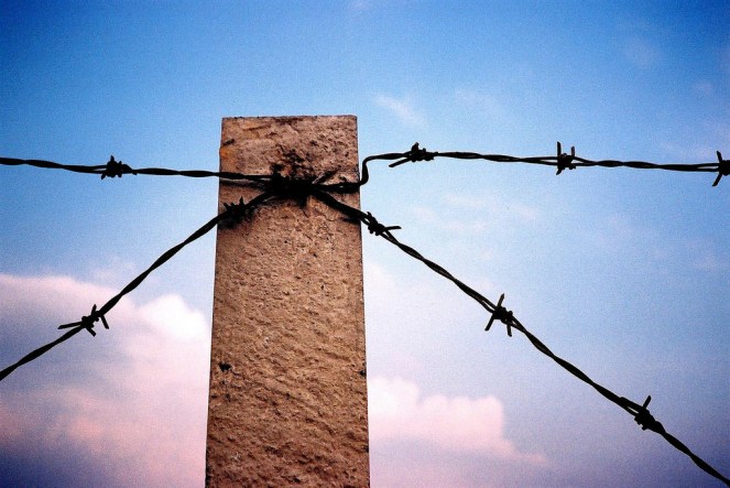 Agfa-optima-1035-film-02