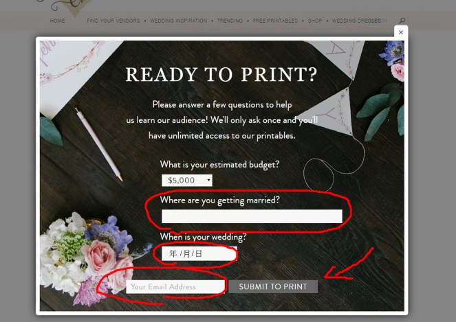 這邊會問下你們一些婚禮資料,像你們結婚地點和日期,和E-mail