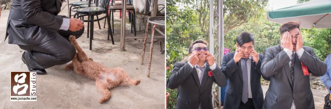 毛小孩一直纏的新郎,想跟他玩 毛小孩一直纏的新郎,想跟他玩