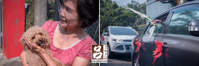 伴郎說毛小孩好像要哭 伴郎說毛小孩好像要哭,媽媽把它抱起來