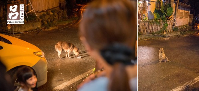 這張是親友坐車要離開時,當時新郎看到有隻有點年紀的野狗坐在外面,特別又跑進去拿了一隻雞腿給它吃,他這個動作最讓我印象深刻