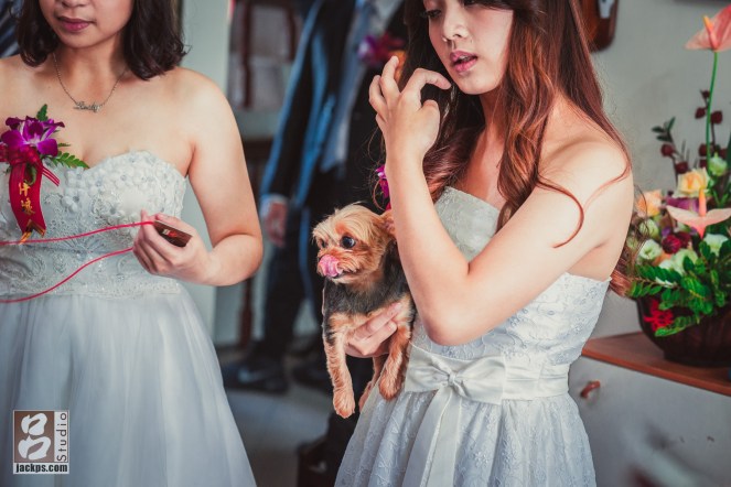 mini好可愛，舔舌頭，看到媽媽在吃東西!?