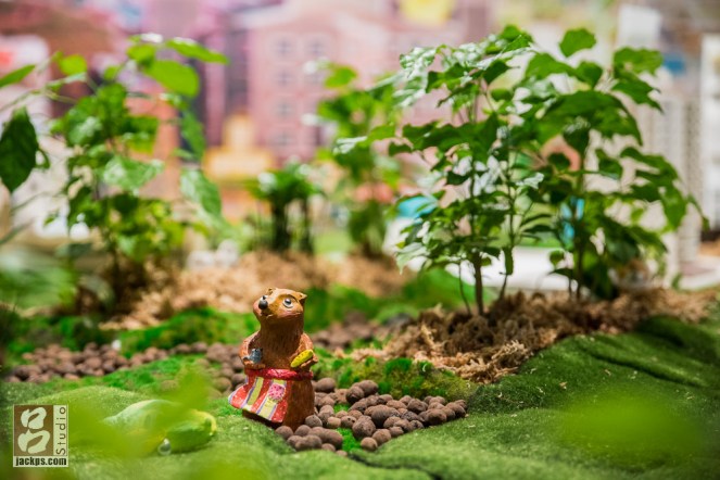 小小世界中的動物