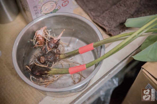 綁紅帶的蓮蕉花