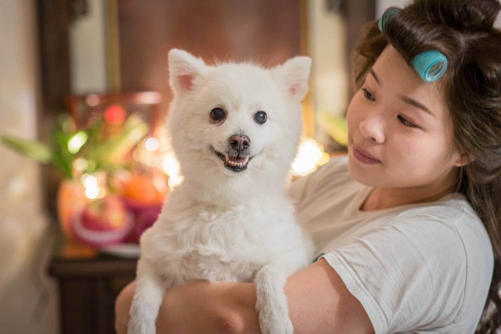 新娘與開心毛小孩合作